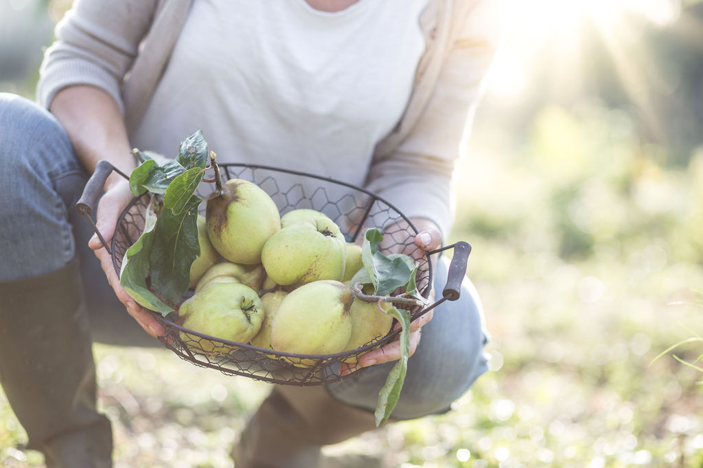 Ernährungsberatung Fehmarn